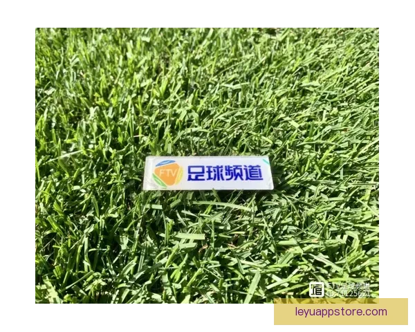足协杯官方宣布江西对鲲城比赛场地调整至瑞昌体育公园体育场 足协杯官方宣布江西对鲲城比赛场地调整至瑞昌体育公园体育场
